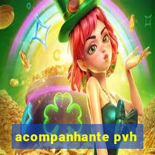 acompanhante pvh